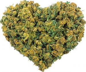 Know About Metta Hemp